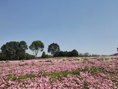 -凤凰沟景区