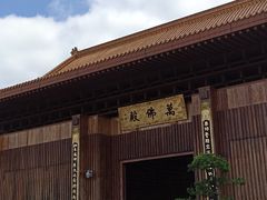 -深圳仙湖植物园