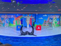 -成都浩海立方海洋公园