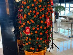 -上海龙之梦万丽酒店