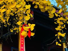 -金堂县云顶石城风景区