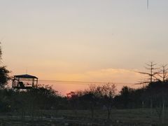 -天适樱花悠乐园