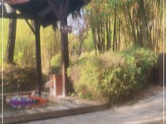 -崇阳三特浪口温泉