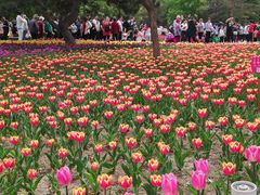 -长春公园(普阳街道)