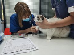 -伟伟宠物医院·CT影像中心·瑞派犬猫综合性门诊(汉口总院)