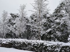 -洋湖国家湿地公园