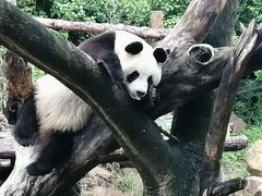 -宁波野生动物园