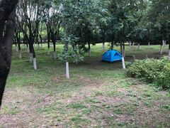 -永定河休闲森林公园