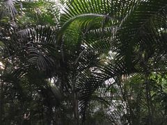 -龙达温泉生态城