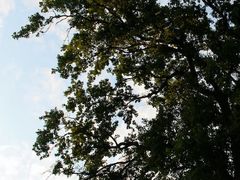 -维乐口腔医院(福清院)