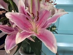 -南堂馆·新川菜(春熙路店)