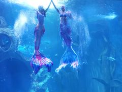 -多彩贵州城极地海洋世界