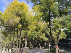-船政文化景区-罗星塔公园