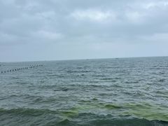 -青岛第二海水浴场