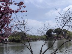 -陈记菜馆·非遗淮扬菜(东关街教场店)