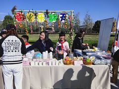 -金陵中学(河西分校)