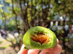 -复旦大学本部-食堂
