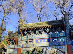 -北京国子监胡同