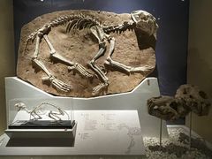 -国家自然博物馆