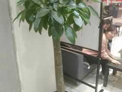 -谈·PIANO(金唐新光界店)