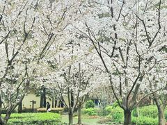 -徐家汇源景区-衡山公园