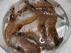 -红鼎豆捞·非遗鲍皇汤火锅(宝丰路店)