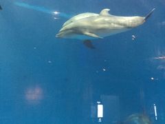 -华夏文旅西安度假区