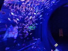 -成都浩海立方海洋公园