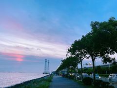 -宝安西湾红树林湿地公园