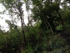 -青龙山国家森林公园