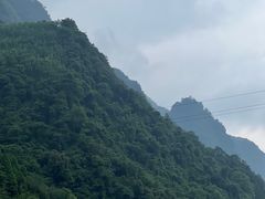 -虹口漂流