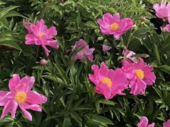 -长春公园(普阳街道)