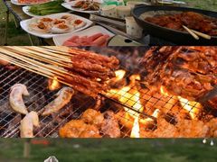 -山野的朋友露营炭火烤肉