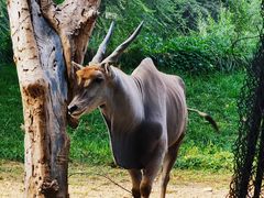 -北京野生动物园