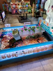 -卡通尼·Safari非洲探索乐园·生日会(金桥国际商业广场店)