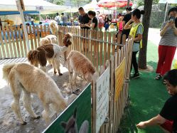 -萌宠亲子动物乐园(槐房万达店)