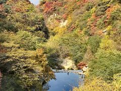 -西安祥峪森林公园
