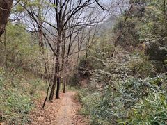 -东钱湖旅游度假区