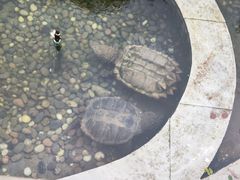 -汤阴县羑里周易博物馆