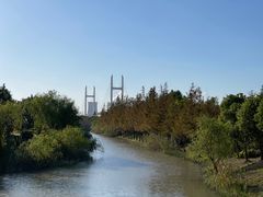 -上海浦江郊野公园-5号停车场