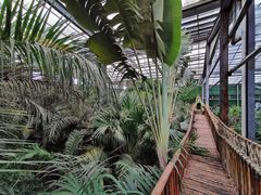 -呀路古热带植物园