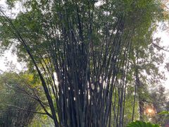 -成都杜甫草堂博物馆