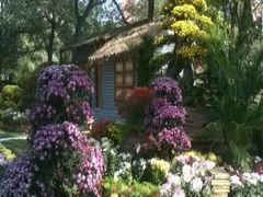 iphone_upload_pic-迎泽公园