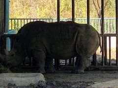 -哈尔滨北方森林动物园