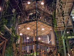 -Rainforest