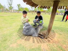 -南京金牛湖风景区