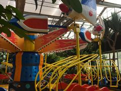 -南宫五洲植物乐园