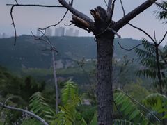 -五龙城郊森林公园