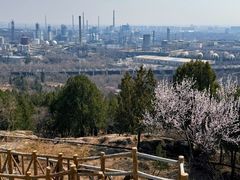 -白水寺森林公园