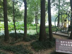-东湖落雁景区